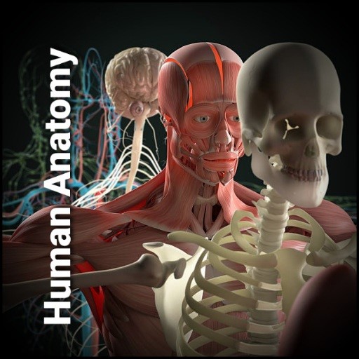 3D Human Anatomy Pro app artwork