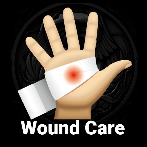 3D Wound Care app artwork