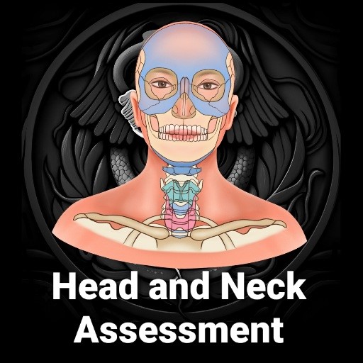 3D Head and Neck Assessment app artwork