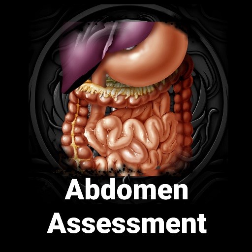 3D Abdomen Assessment app artwork