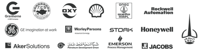 Industrial clients and project partners